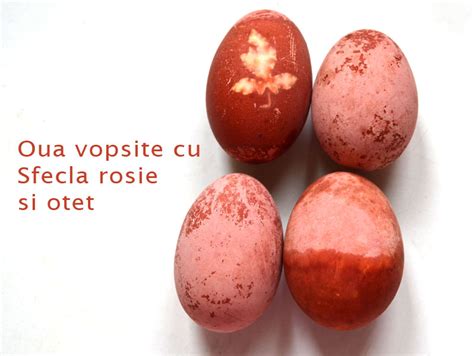 Oua Vopsite Cu Sfecla Rosie Si Otet Breslo Breslog