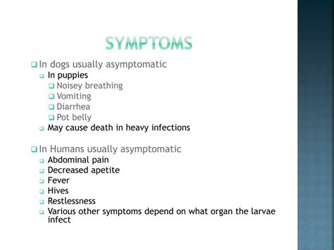 PPT - Toxocara Canis PowerPoint Presentation, free download - ID:2426566