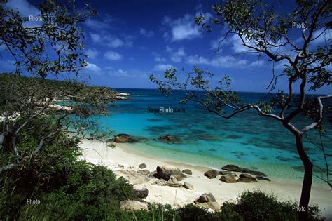 Photo De PLAGE DE L HOTEL P O ILE DE LIZARD ISLAND GRANDE BARRIERE DE