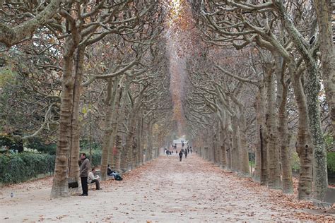 Trees Park Path Free Photo On Pixabay Pixabay