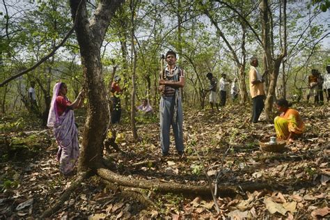 Community Forest Rights Saving India S Biodiversity De Sharbendu