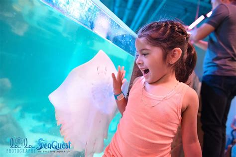 SeaQuest Rosedale opens with 1,500 swimming, flying and crawling ...