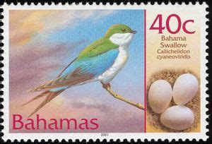 Stamp Bahama Swallow Callichelidon Cyaneoviridis Bahamas Birds And