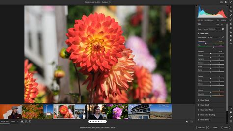 Adobe Camera Raw Vs Capture One Express Fujifilm A Worthy Free