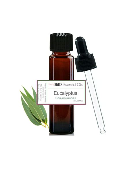 Buy Pure Eucalyptus Oil And Make Multi Purpose Eucalyptus Spray