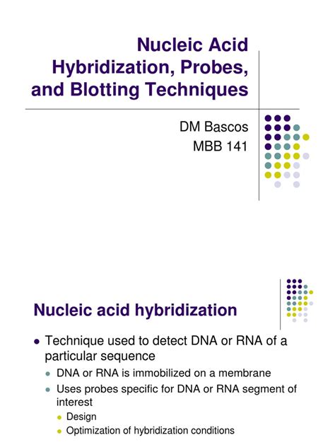 4 Nucleic Acid Hybridization | Blot (Biology) | Nucleic Acids