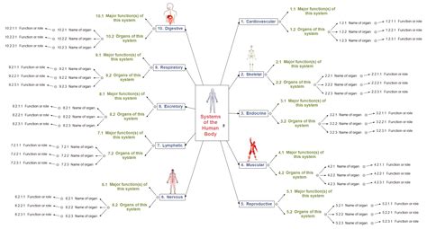 Systems of the Human Body 654 – MindView | Mind Mapping Software