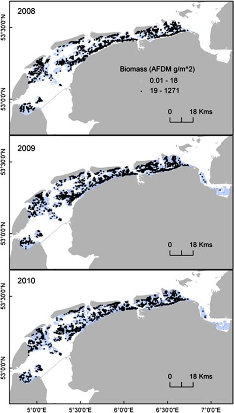 The Spatial Distribution Of Benthic Biomass G M Across The Dutch