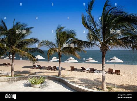 Beach Promenade At Saigon Ninh Chu Resort Phan Rang Beach South China