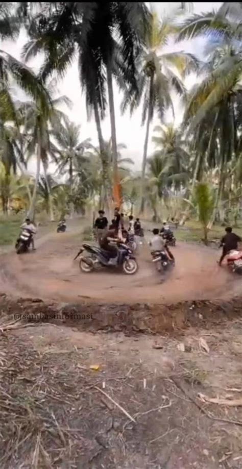 Viral Aksi Balap Liar Di Kebun Kelapa Di Jawai Kumparan