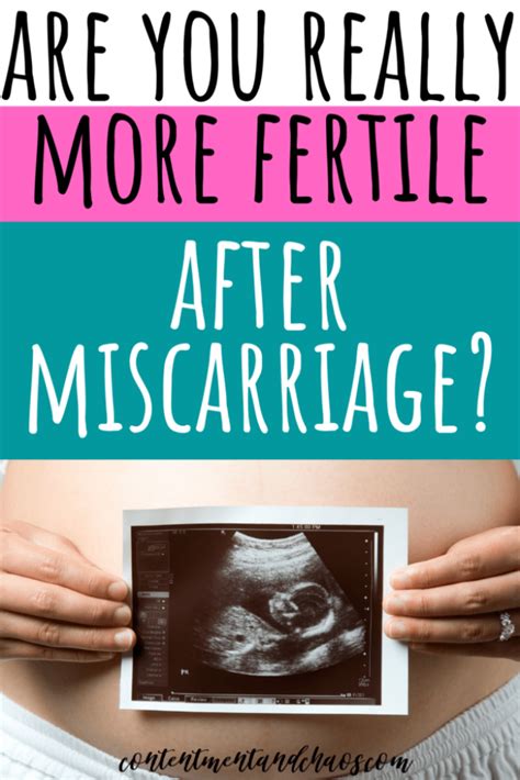 Are You Really More Fertile After Miscarriage • Contentment Chaos