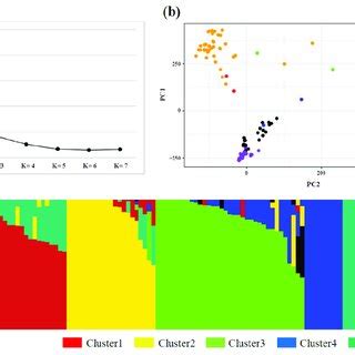 Population Structure Analysis Based On 137 Rice Accessions A