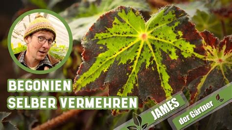 An Image Of A Man With A Hat On In Front Of Some Plants And Leaves