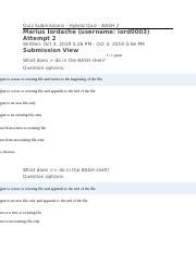 Hybrid Docx Quiz Submissions Hybrid Quiz Bash Marius Iordache