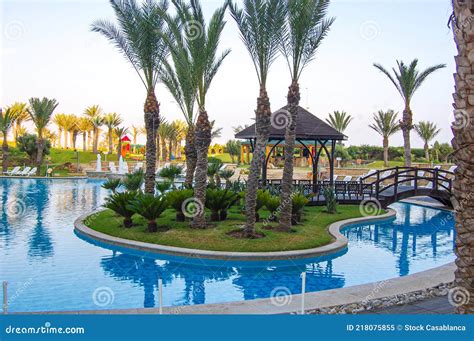 Swimming Pool With Palm Trees Moroccan Entertainment Resort Editorial