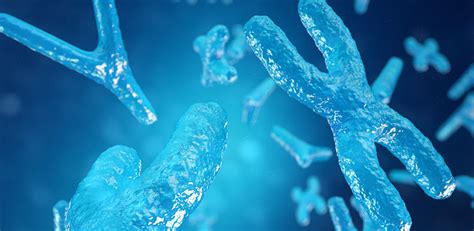 One In Men Carry Extra Sex Chromosome Putting Them At Higher Risk Of Several Common