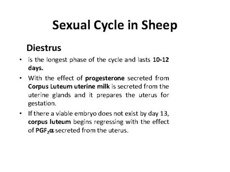 Sexual Cycle In Sheep Age Of Puberty Is