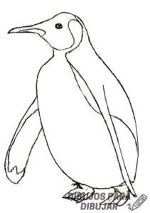 磊 2150Los mejores dibujos de pingüinos sencillos