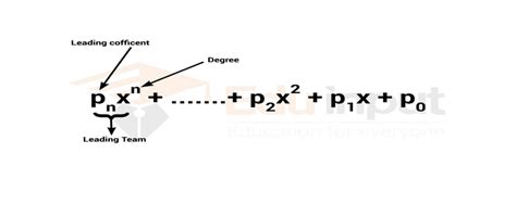 What Does Coefficient Mean in Math?