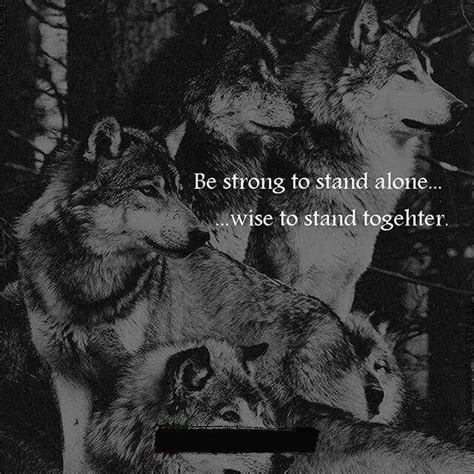 Wolf Pack Quotes - ShortQuotes.cc