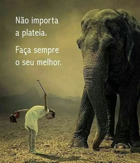 Não importa a plateia Faça sempre o seu melhor Frases