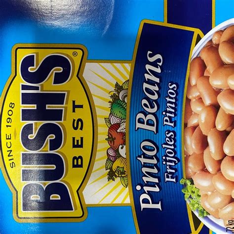 Bush S Pinto Beans Review Abillion