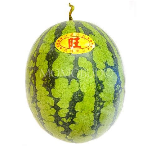 Taiwan Premium Yellow Watermelon — Momobud