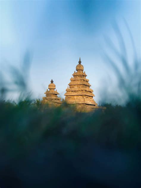 30,000+ Kerala Temple Pictures | Download Free Images on Unsplash