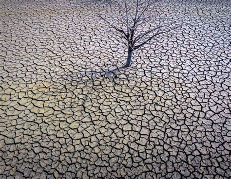 unveiling  devastating impact  droughts  rivers