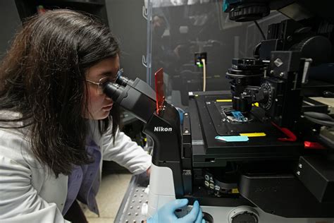 Descubren Una Bacteria Vampiro Con Sed De Sangre Humana