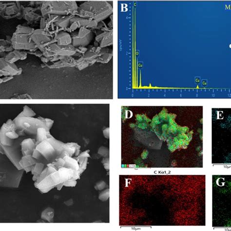 A Fe Sem Of The Cu Mof B Edx Mapping Spectra And Cg Edx