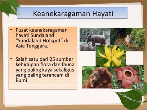 11 Gambar Flora Dan Fauna Negara Asean Paling Update Galer Lofita