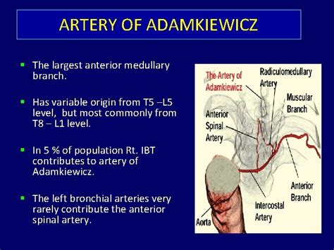 BRONCHIAL ARTERY EMBOLIZATION DR TINKU JOSEPH DM Resident