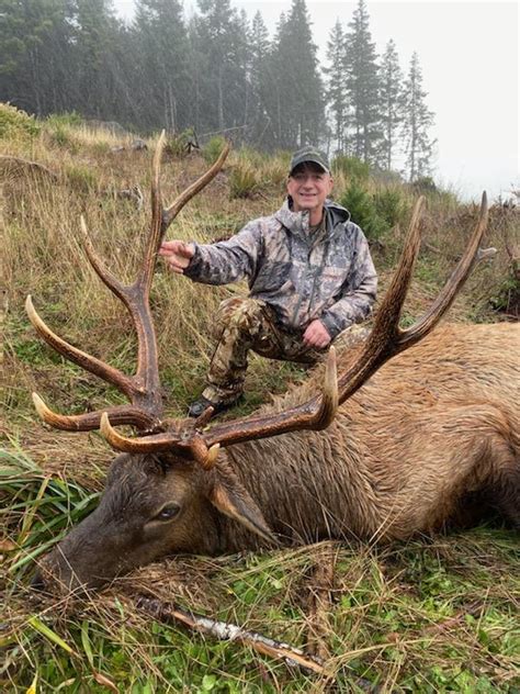 Roosevelt Elk Hunting in Oregon » Outdoors International