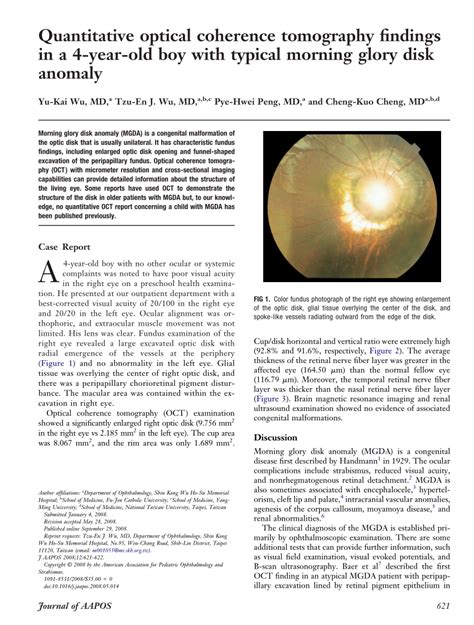 PDF Quantitative Optical Coherence Tomography Findings In A 4 Year