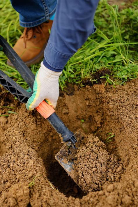 Hole Composting How To Compost Without A Compost Bin