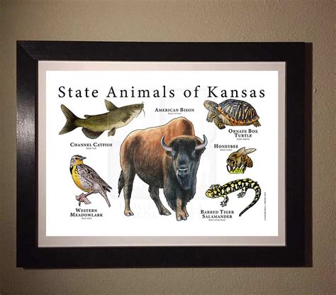 Kansas State Animals Poster Print | Etsy