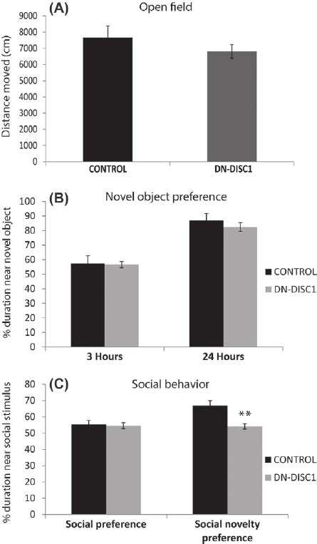 Behavioural Tests Of Male Dn Disc1 N ϭ 13 And Control N ϭ 8 Mice