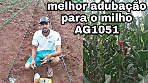 Dicas da melhor adubação para o milho AG1051 milho adubação