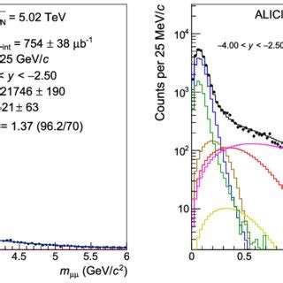 Invariant Mass Distributions In Six Rapidity Bins For Muon Pairs