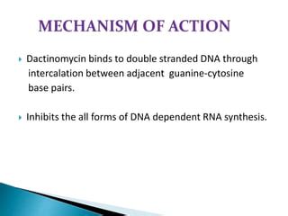 Polyene And Polypeptide Antibiotics PPT