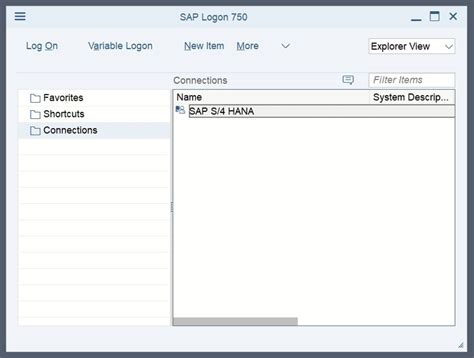 Sap Access Setup Help By Michael Management