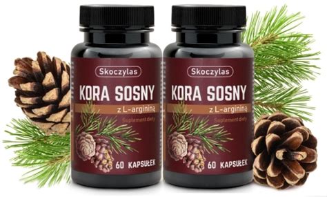 Skoczylas Kora Sosny Z L Arginin Opc Pycnogenol Kaps Opio