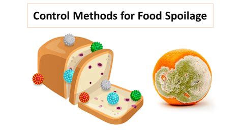 Food Microbiology Microbiology Notes