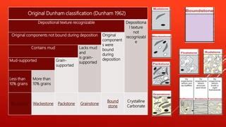 Dunham classification presentation | PPT