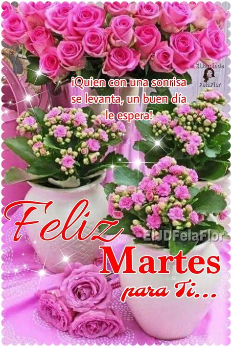 Feliz Martes Amigos 211 Feliz Martes Buenos