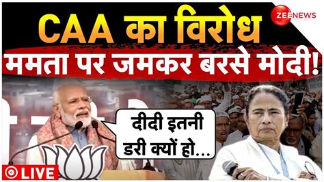 PM Modi reply to Mamata on CAA LIVE ममत CAA क कर रह थ वरध मद