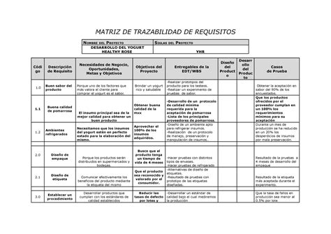 Modelo De Matriz De Trazabilidad De Requisitos Pdf Ingenieria