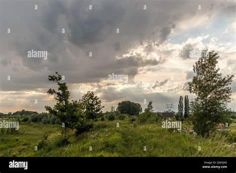 A breathtaking rural landscape with green plants and trees on a cloudy ...