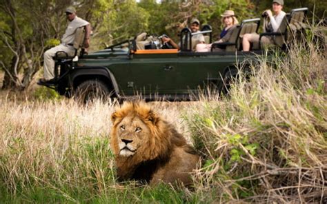 5 Day Kruger National Park & Sabi Sands Safari Combination Guided Tour